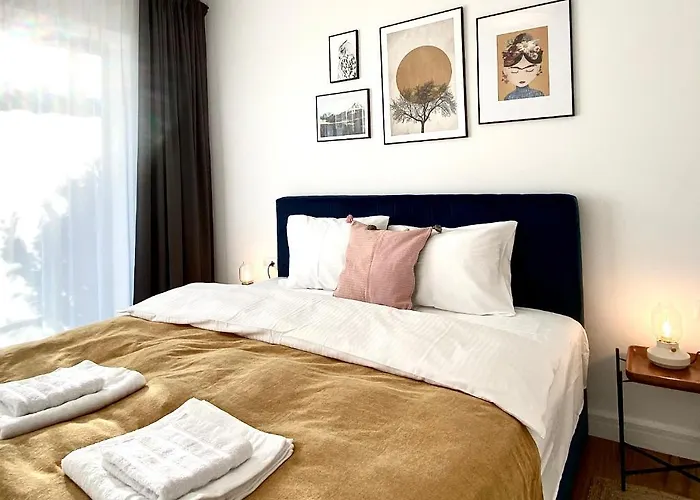 Cosy Hollow - Pet Friendly 布拉索夫