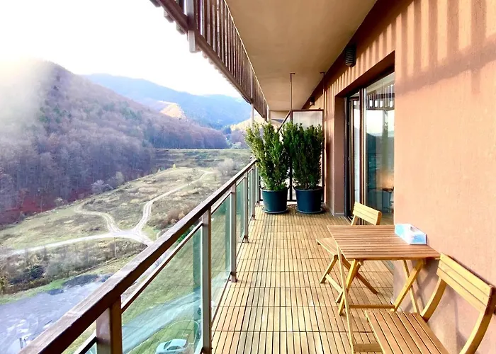 Cosy Hollow - Pet Friendly 公寓 布拉索夫