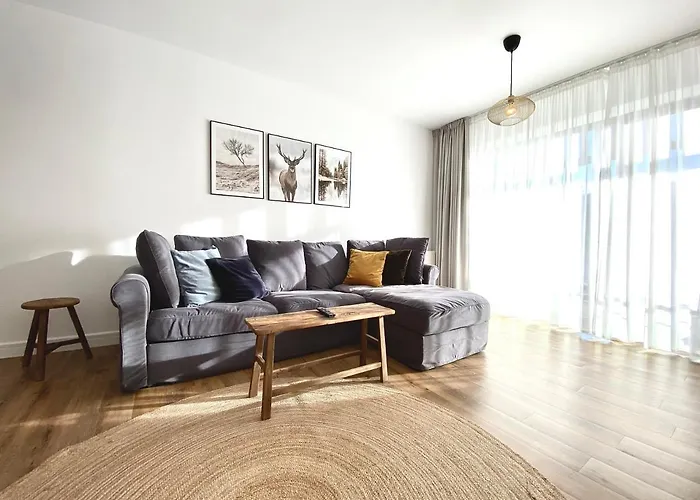 公寓 Cosy Hollow - Pet Friendly 布拉索夫